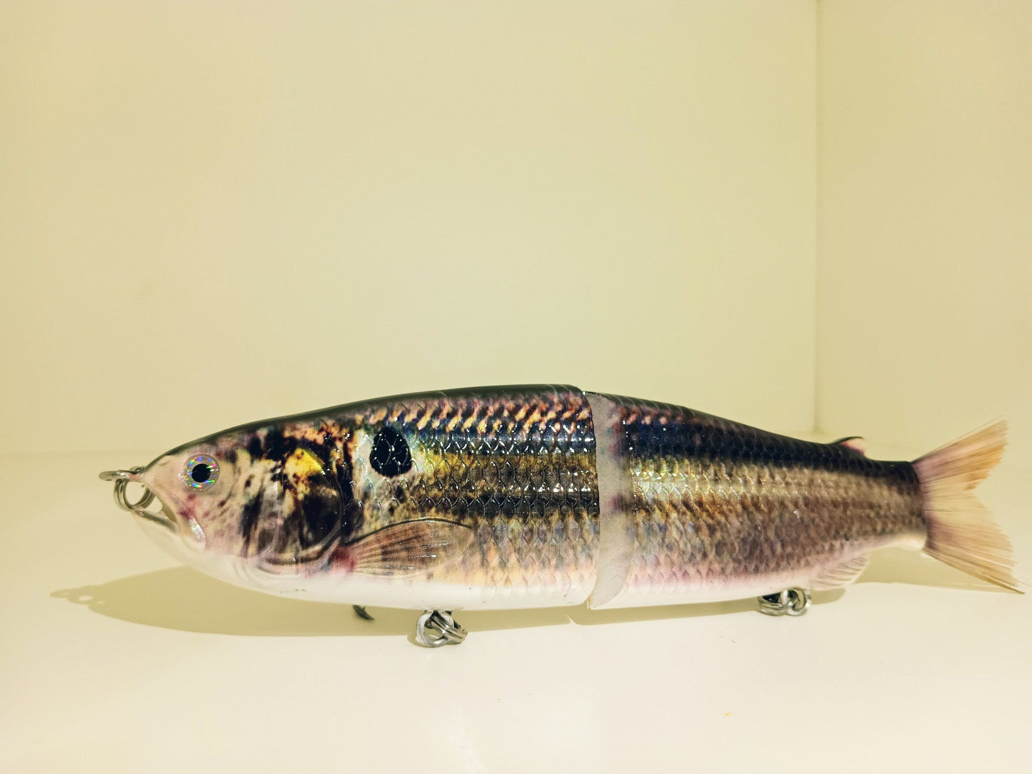 9" The Follow Thread Fin Shad Cali Glide Swimbait