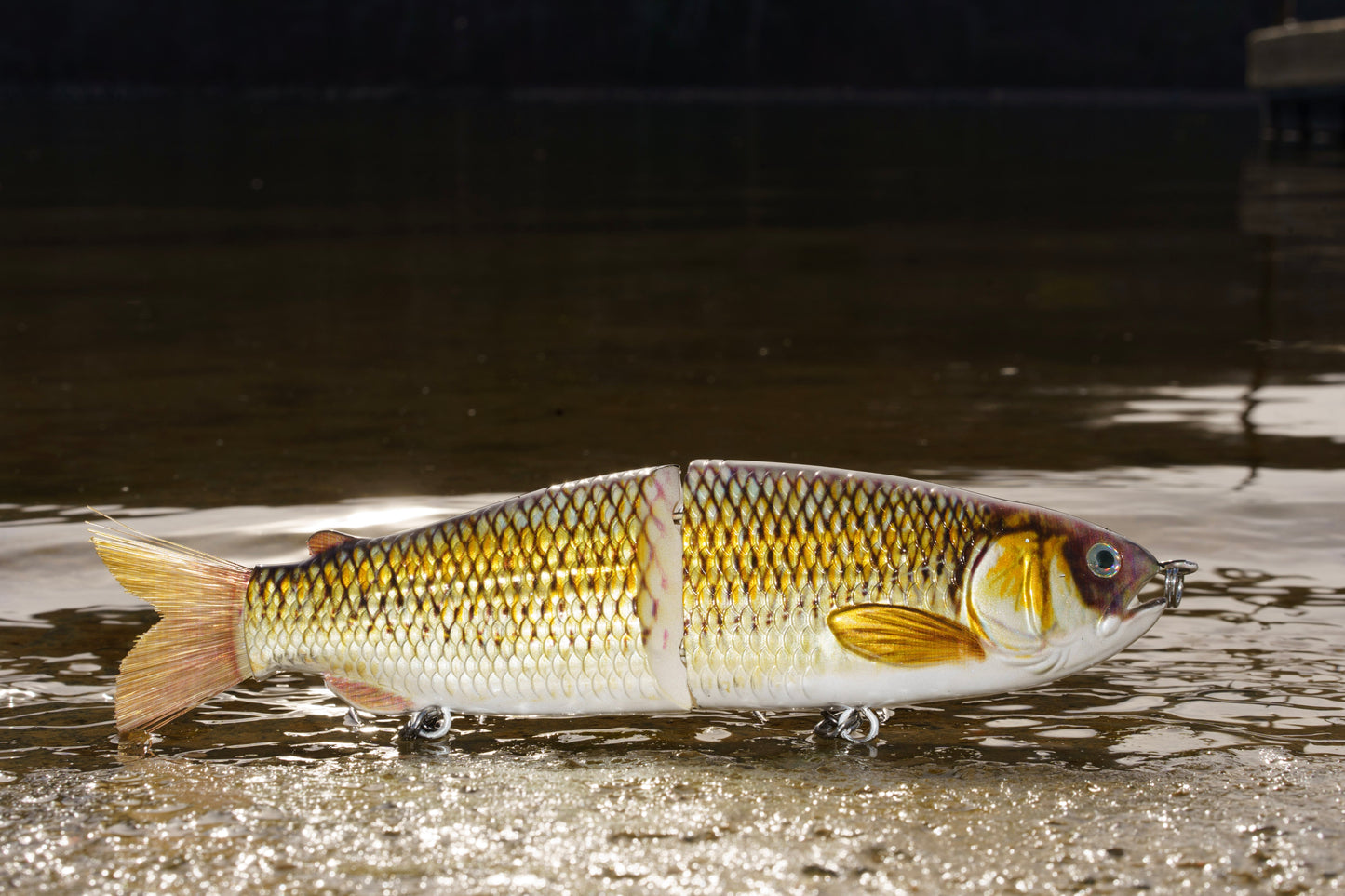 9" The Follow Golden Shiner Cali Glide Swimbait