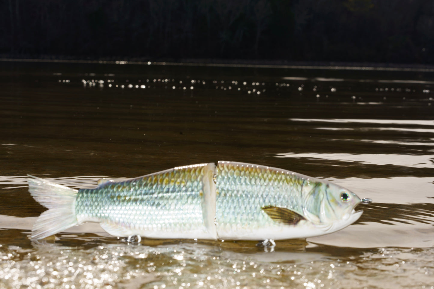 9" The Follow Skip Jack Cali Glide Swimbait