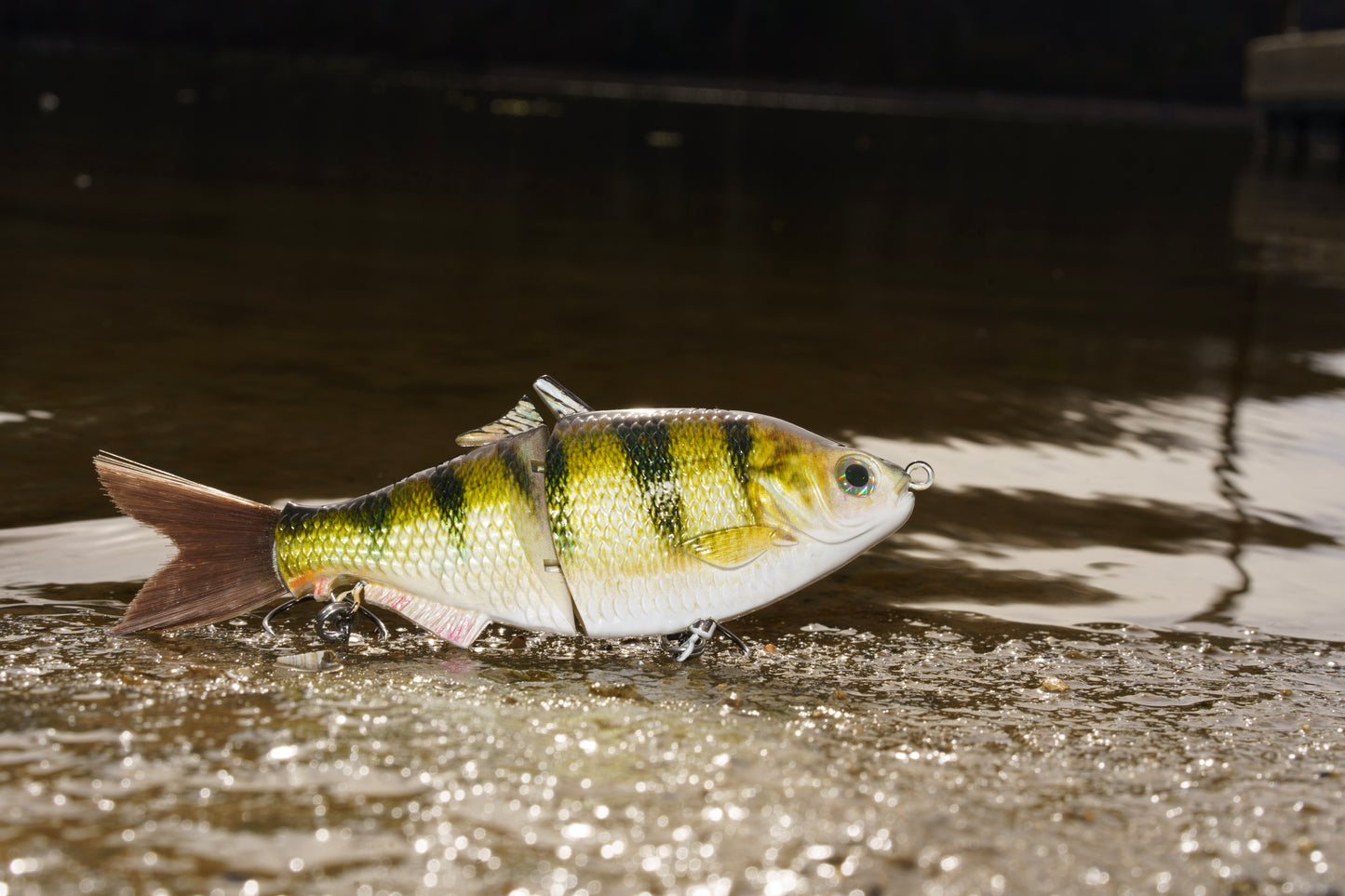 SP6 Perch Pattern