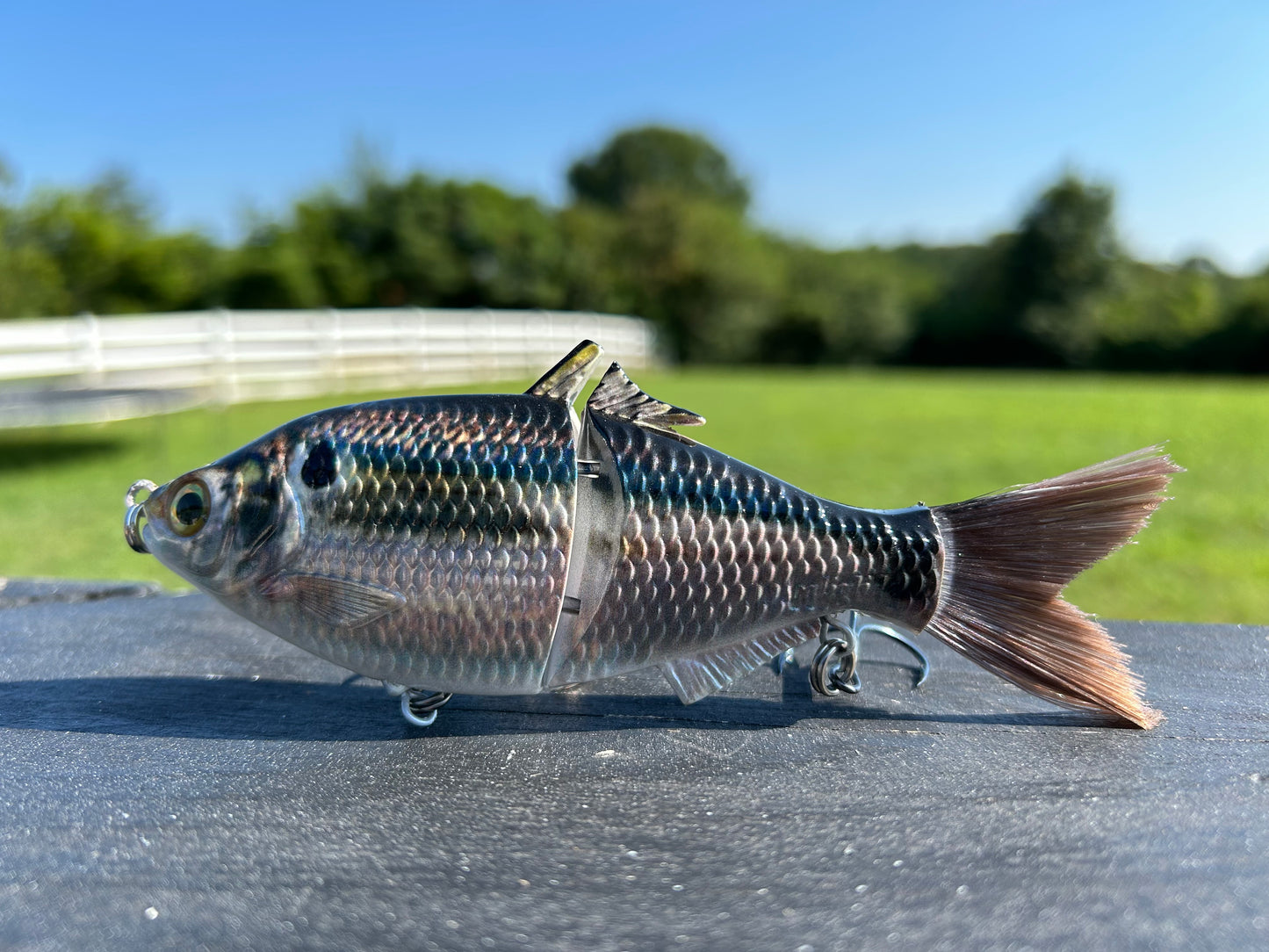 SP6 Threadfin Shad Pattern