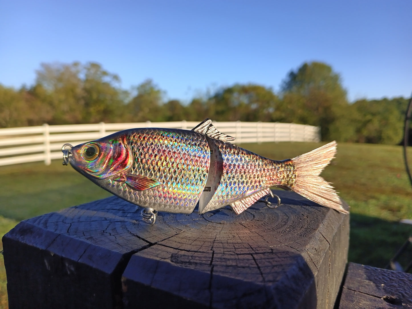 SP6 Holographic Trout Pattern