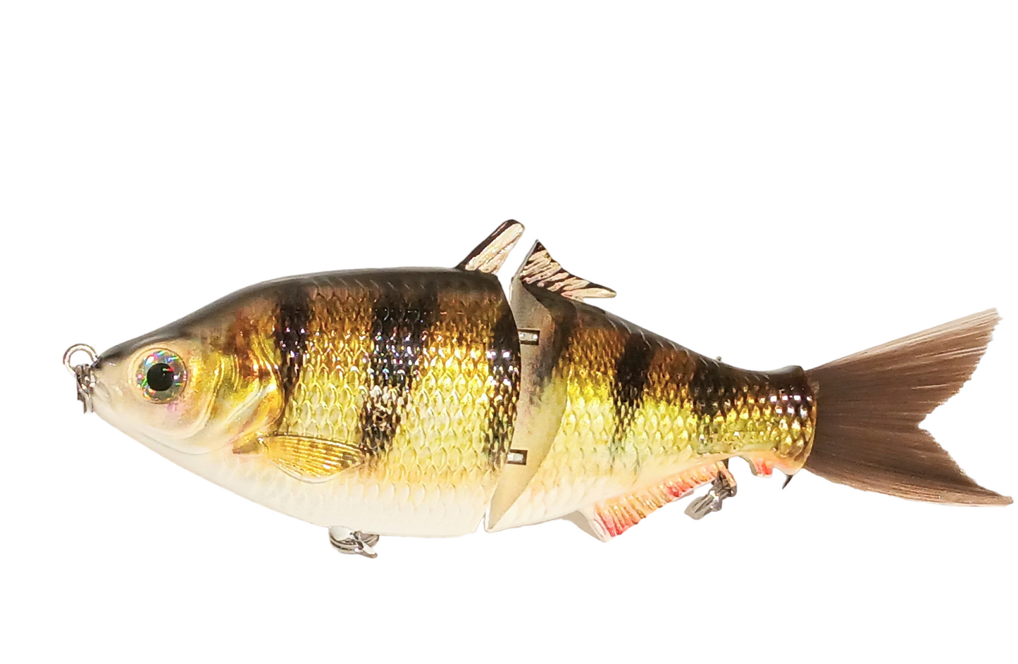 SP6 Perch Pattern