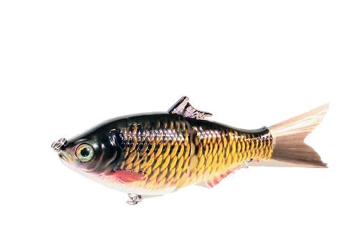SP6 Carp Pattern