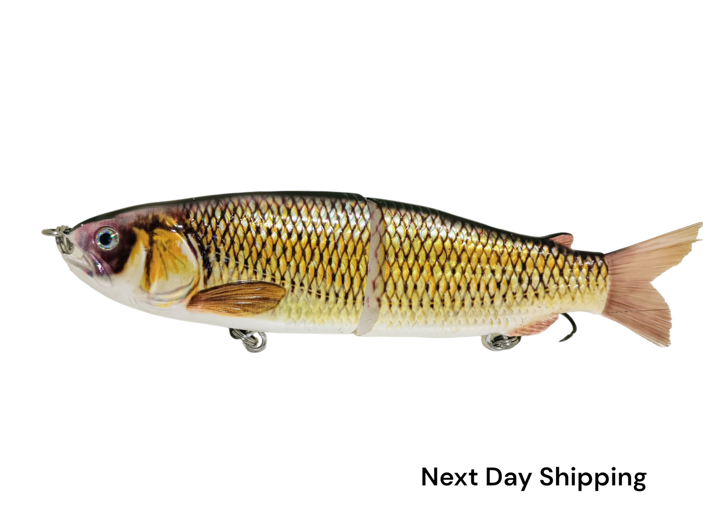 9" The Follow Golden Shiner Cali Glide Swimbait