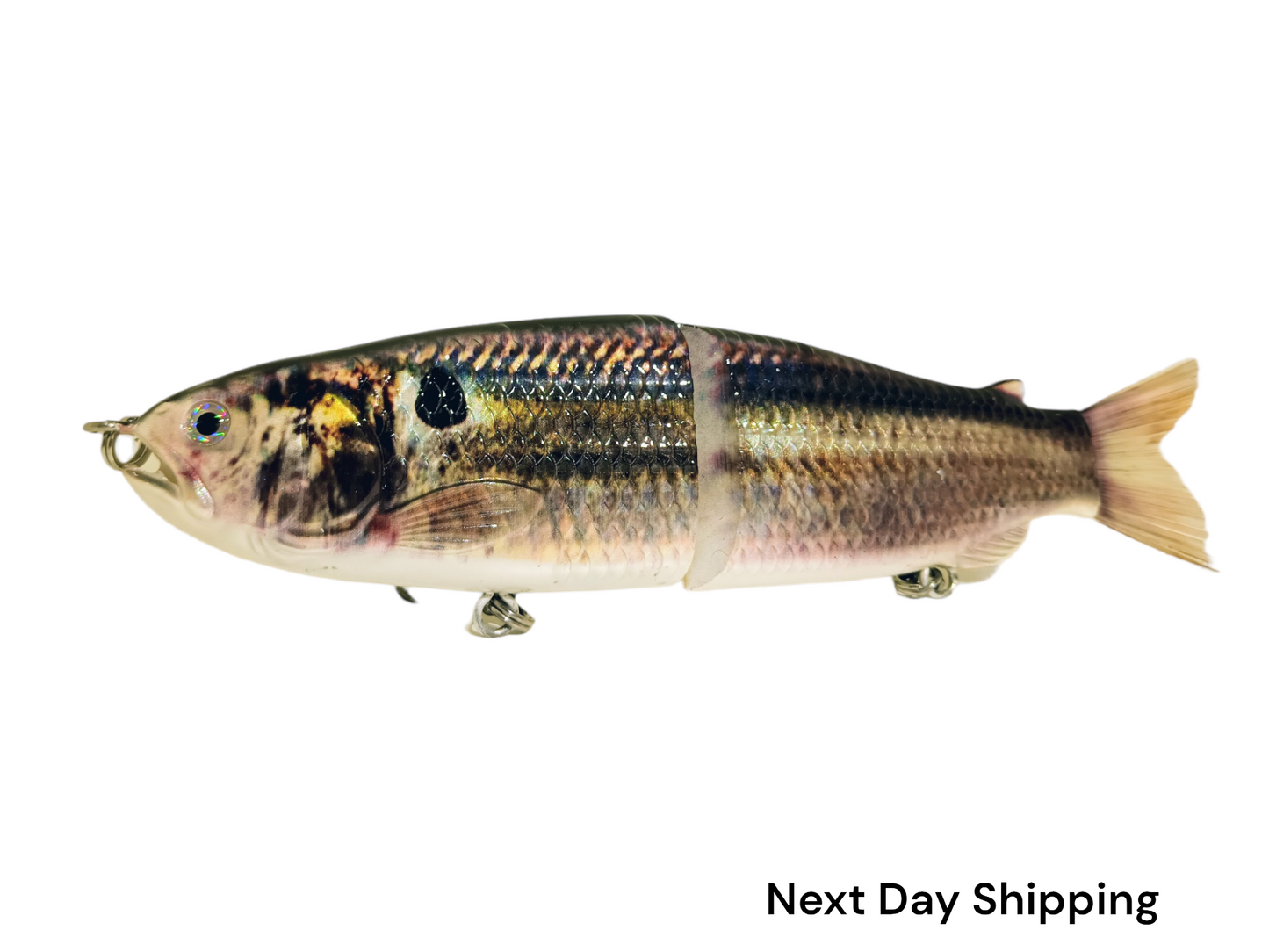 9" The Follow Thread Fin Shad Cali Glide Swimbait