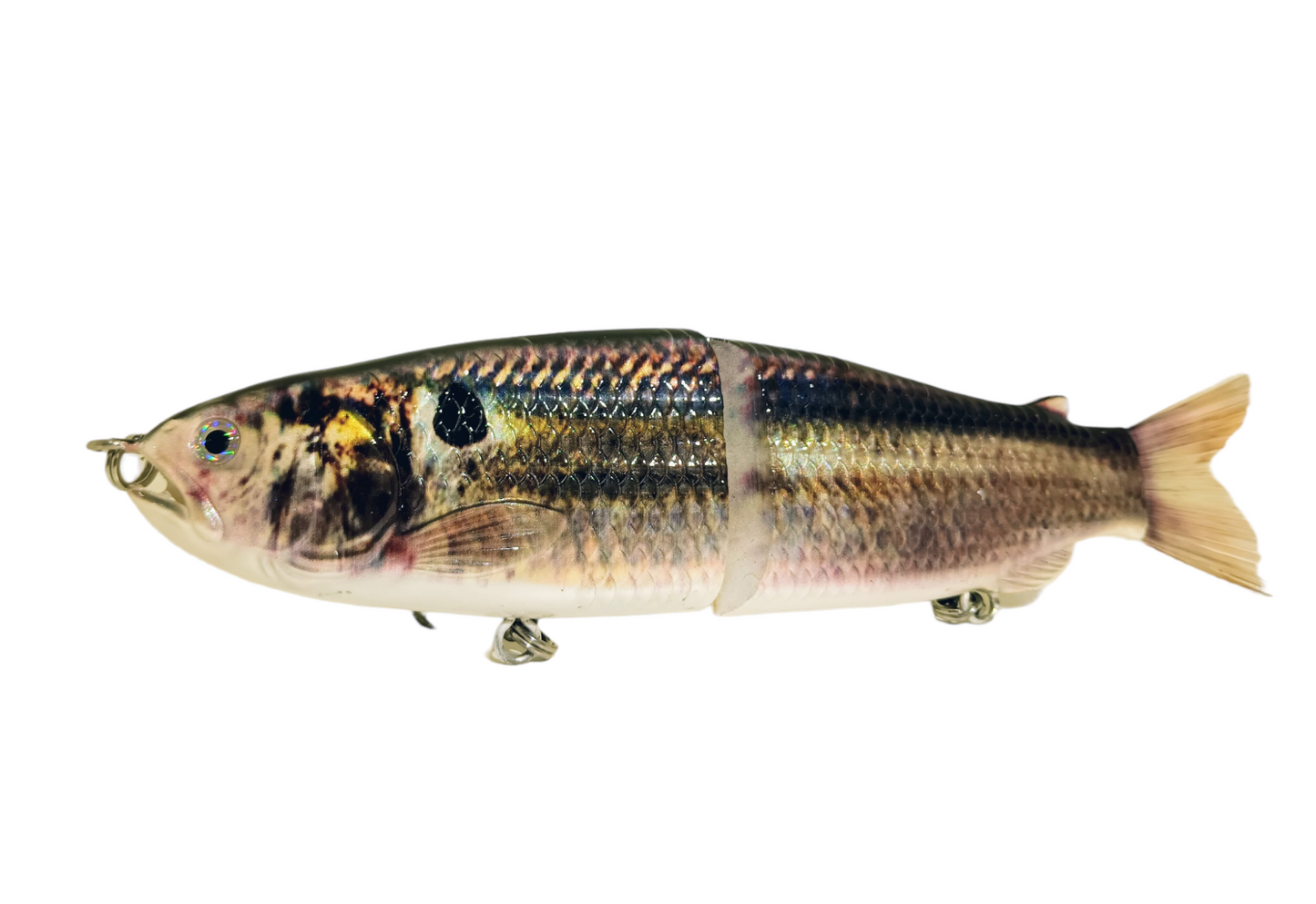 9" The Follow Thread Fin Shad Cali Glide Swimbait