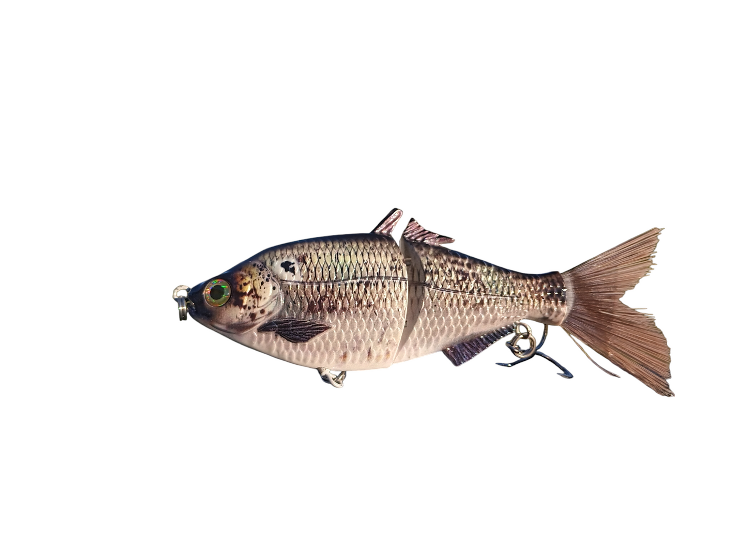 SP6 Gizzard Shad Pattern