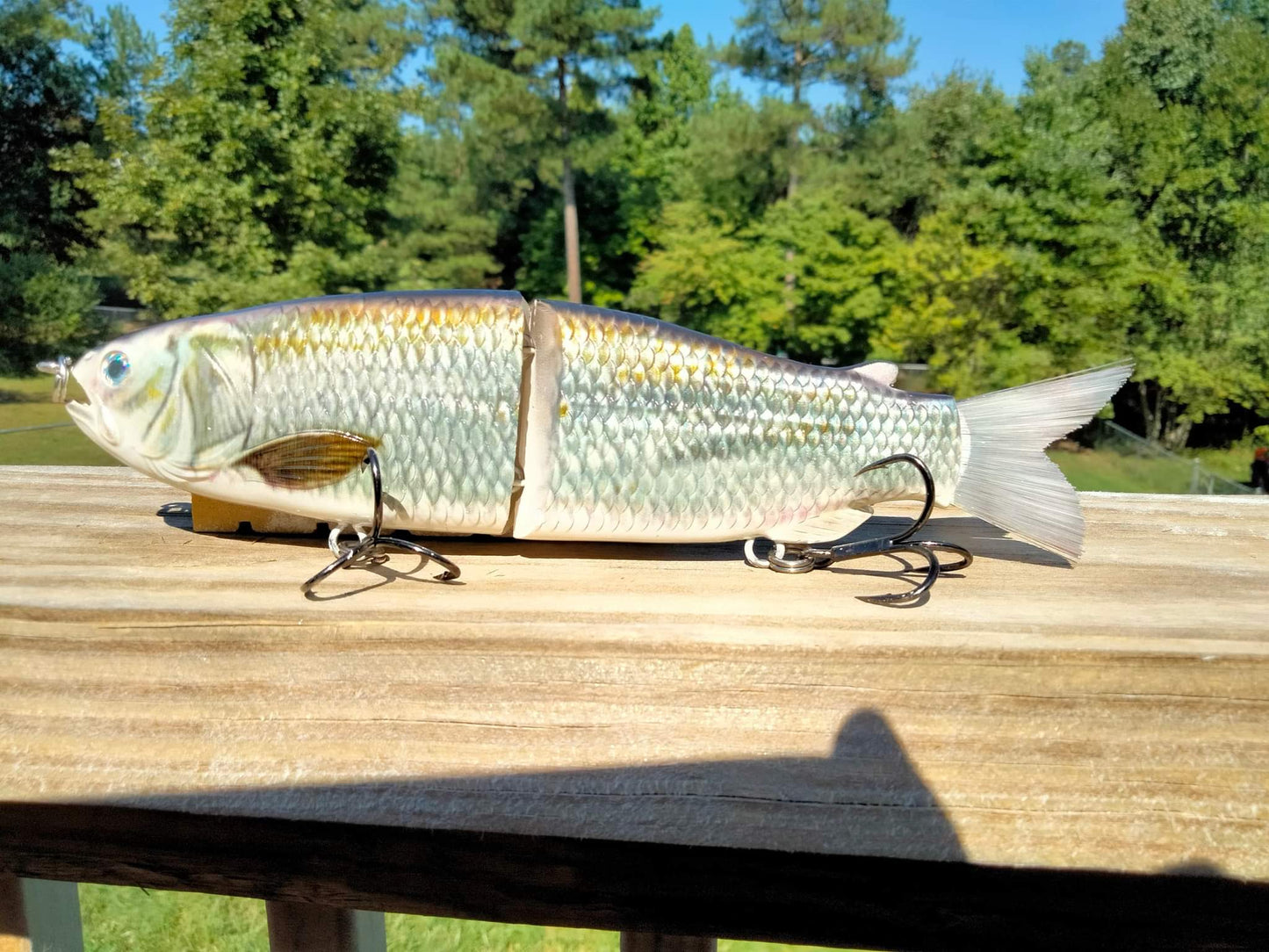 9" The Follow Skip Jack Cali Glide Swimbait
