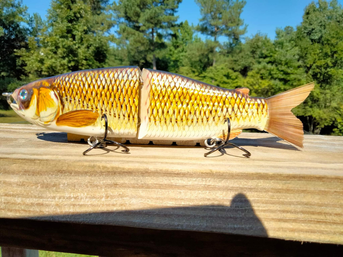 9" The Follow Golden Shiner Cali Glide Swimbait