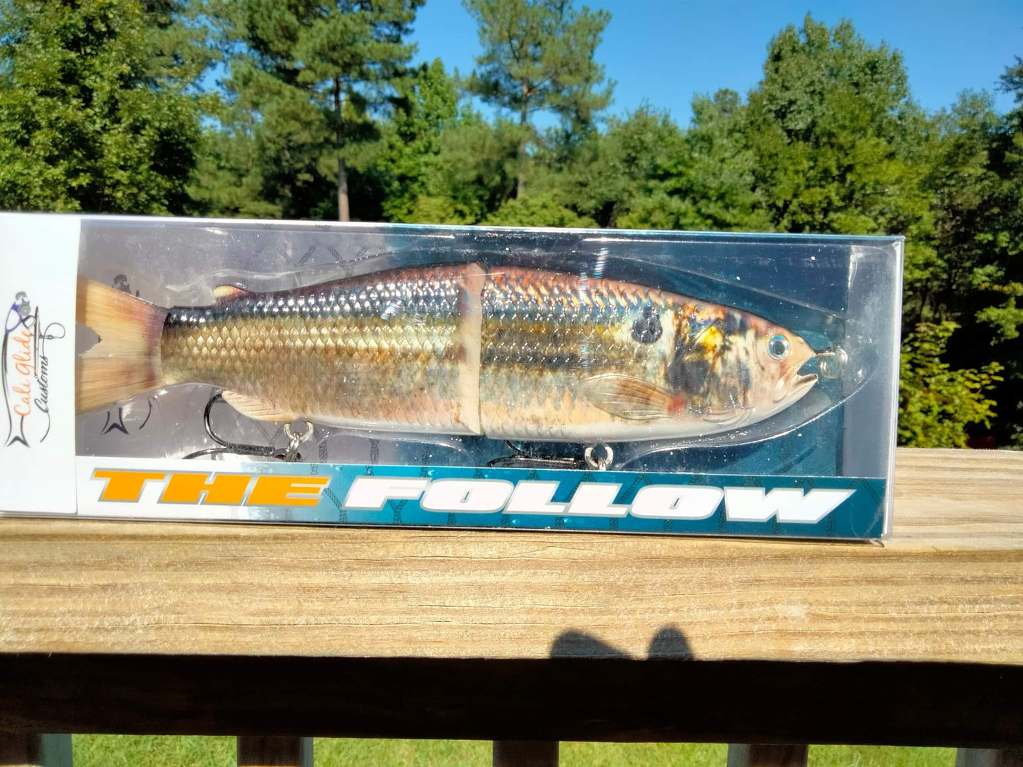 9" The Follow Thread Fin Shad Cali Glide Swimbait