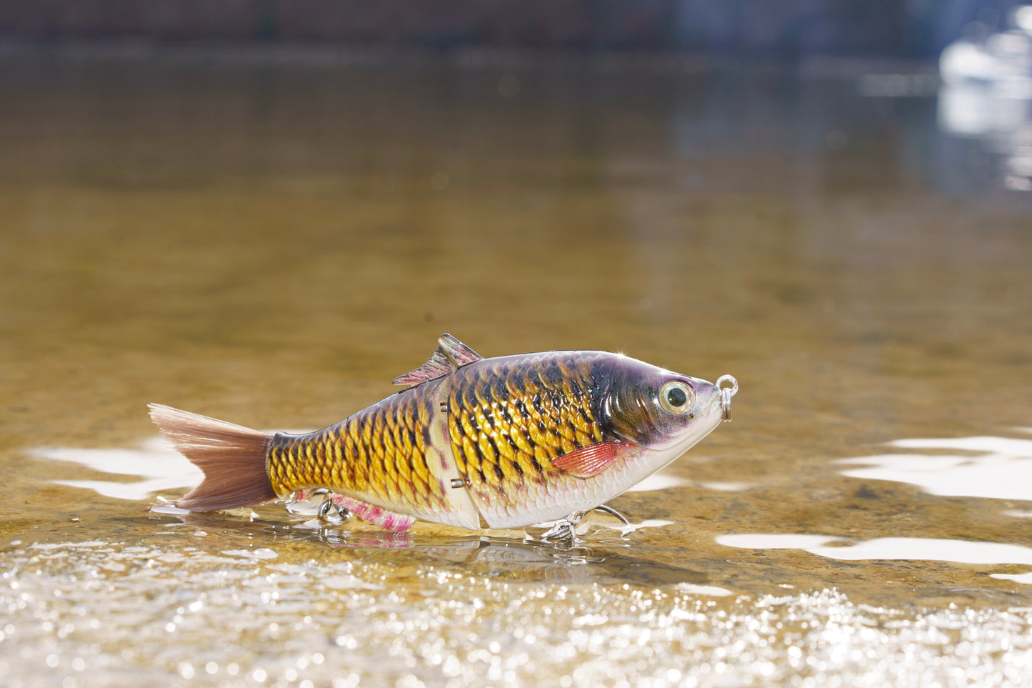 SP6 Carp Pattern