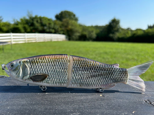 9" The Follow Skip Jack Cali Glide Swimbait