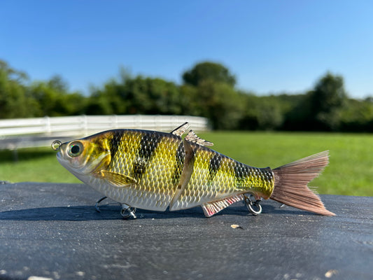 SP6 Perch Pattern