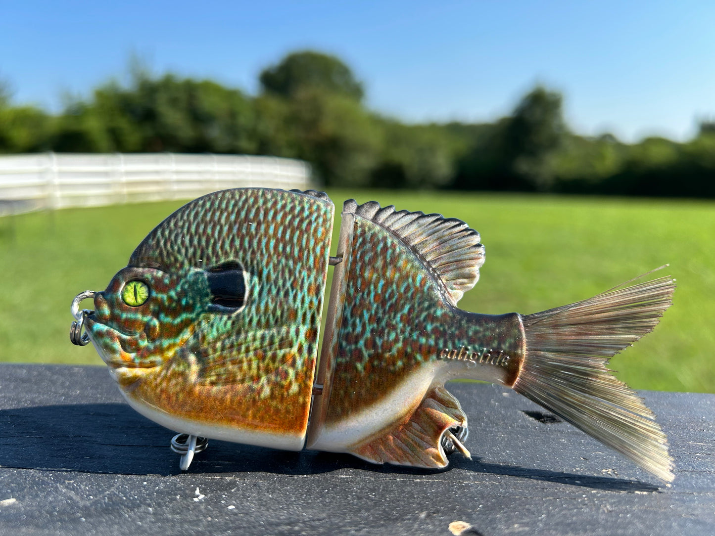 Sunfish SPGill Swimbait