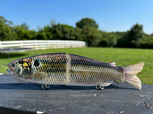 9" The Follow Thread Fin Shad Cali Glide Swimbait