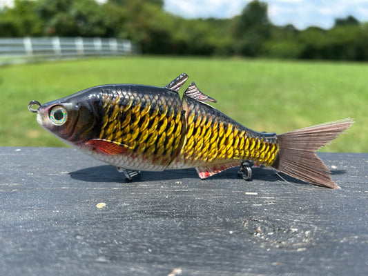 SP6 Carp Pattern
