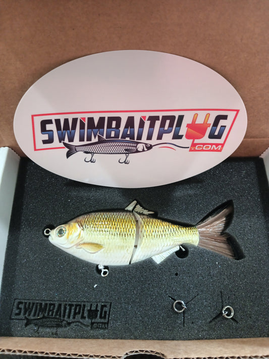 SP6 Golden Shiner Pattern