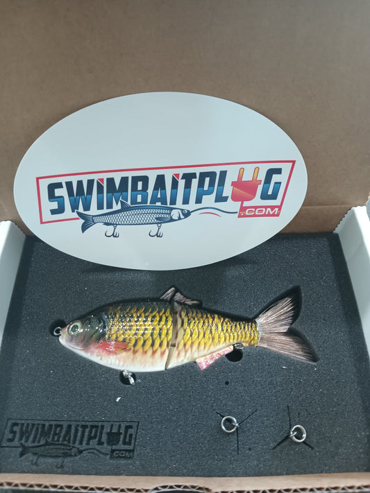 SP6 Carp Pattern