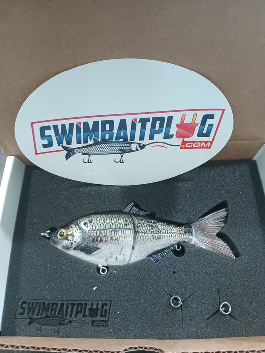 SP6 Gizzard Shad Pattern