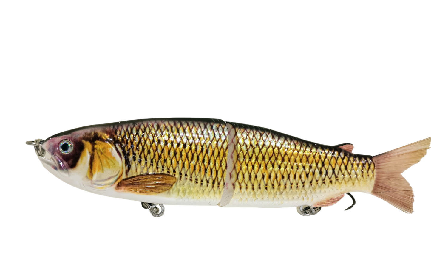 9" The Follow Golden Shiner Cali Glide Swimbait
