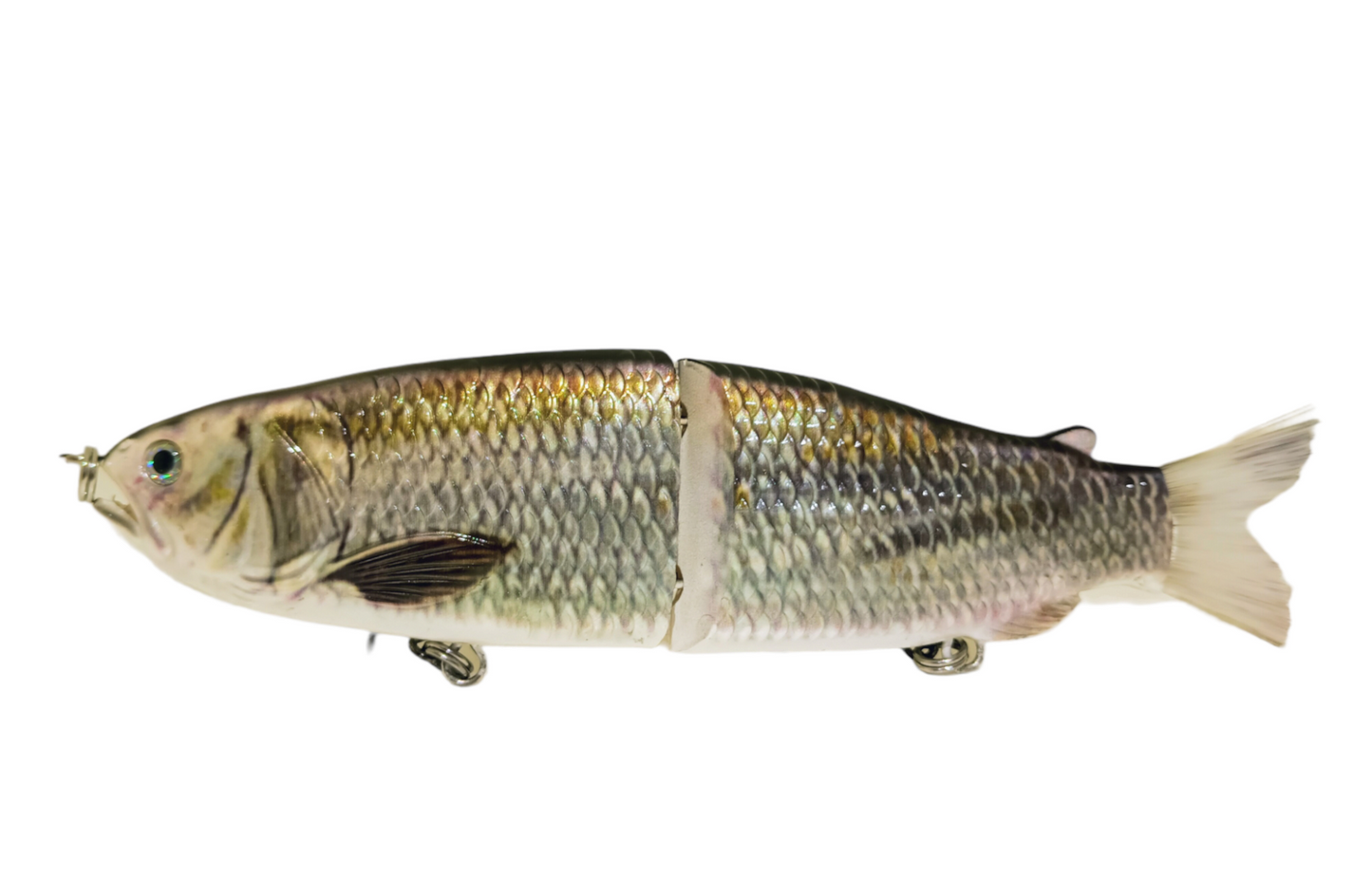 9" The Follow Skip Jack Cali Glide Swimbait